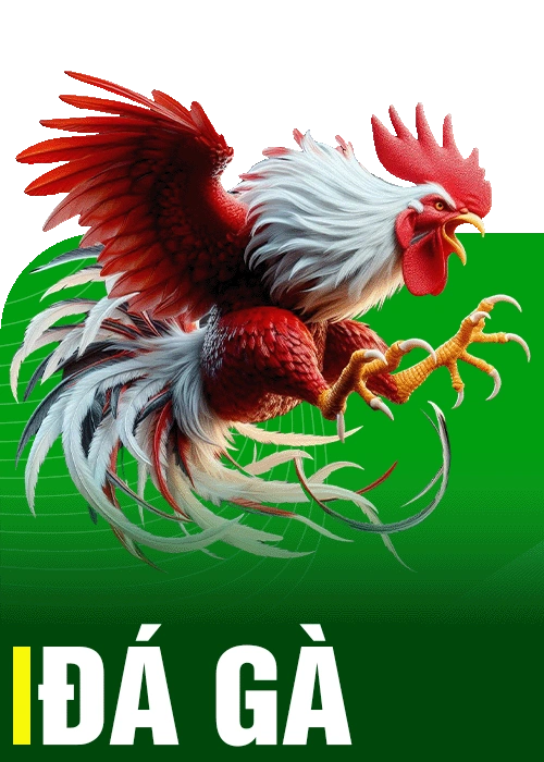 đá gà su88